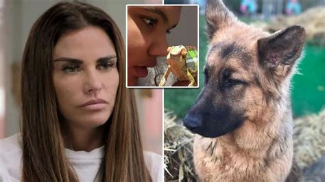 Katies Prices tragic history with pets after series of fatal ...